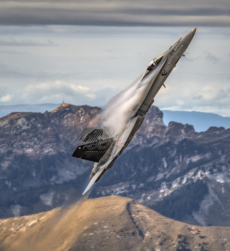 Swiss Axalp display