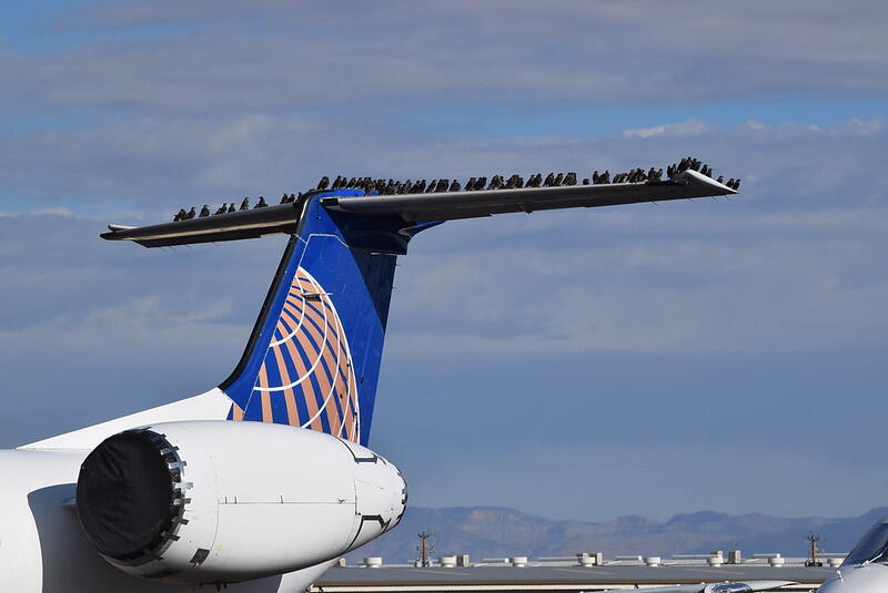aircraft