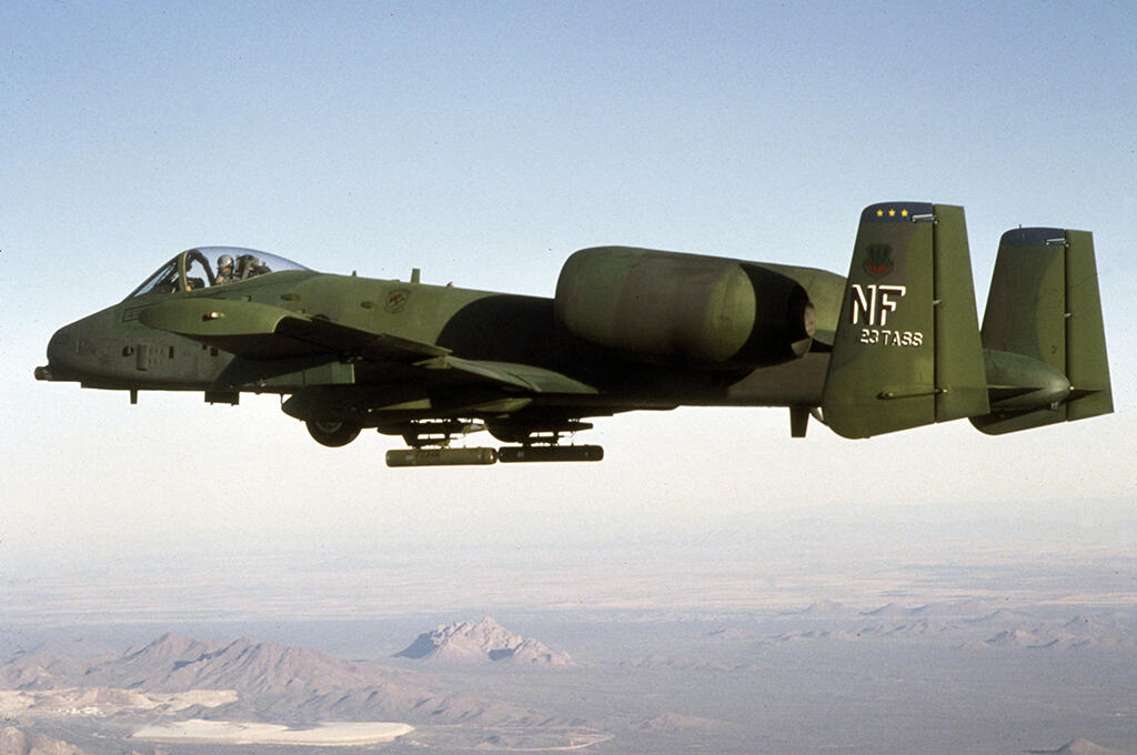 Warthog