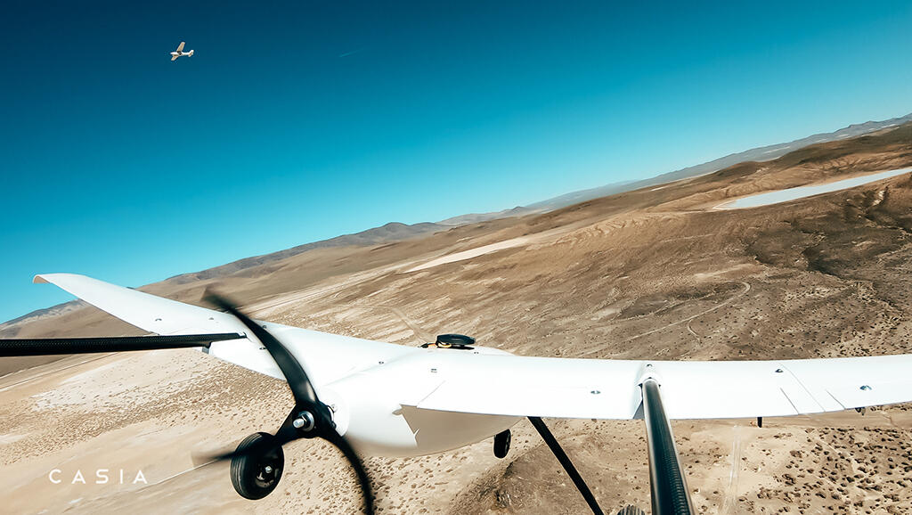 Casia in flight