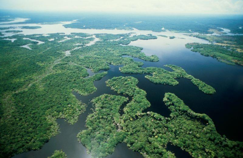 Amazon river
