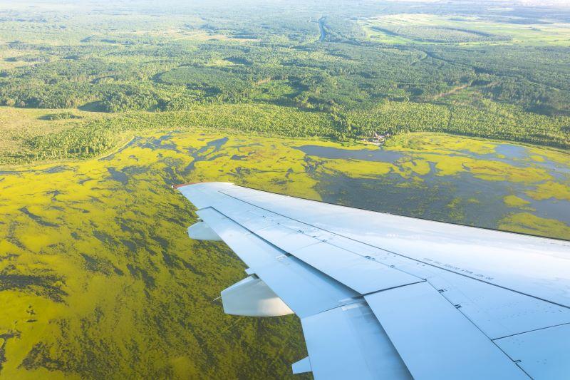 plane wing over fields