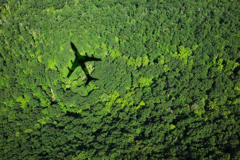 airplane over trees