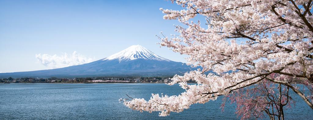 Mount Fujiyama