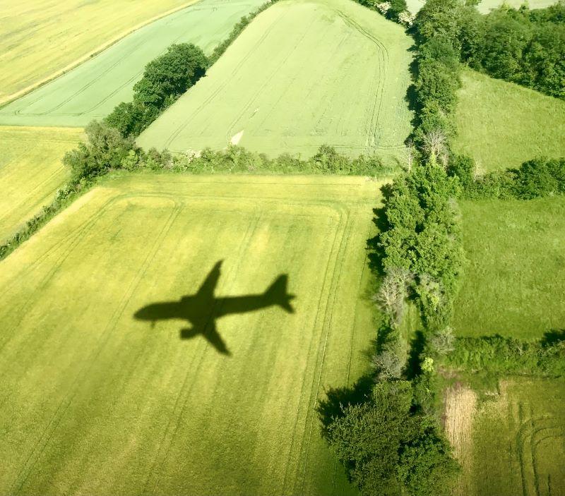 airplane over trees