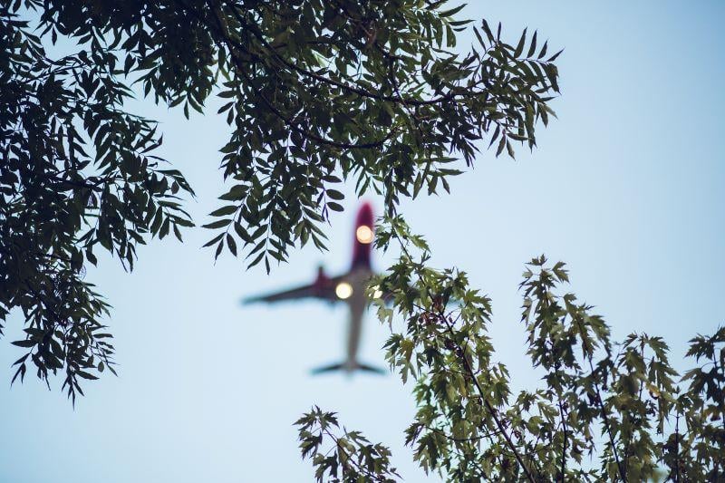 airplane over trees