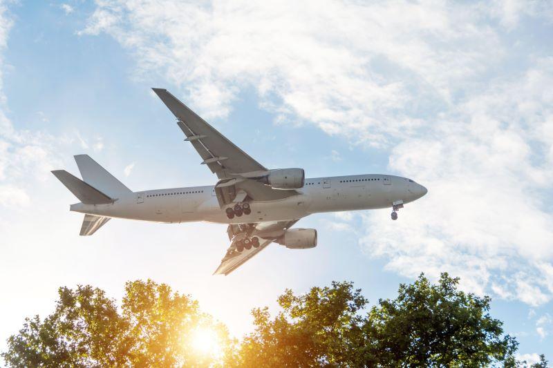 airplane over trees