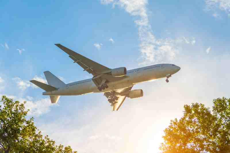 plane flying over trees