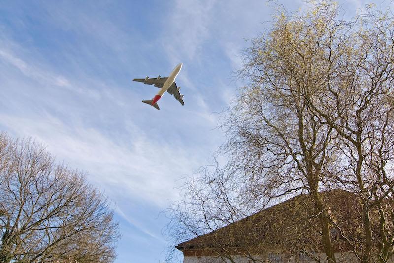 airplane flying over trees