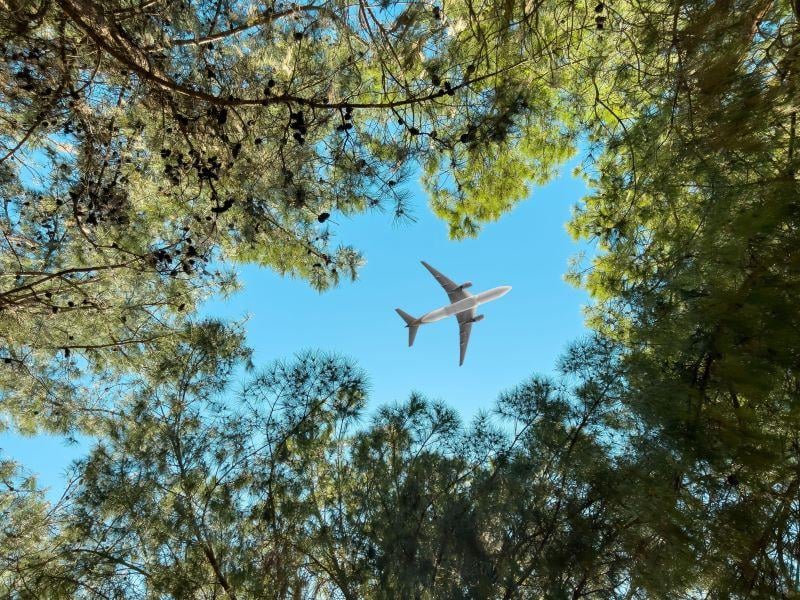 airplane over trees