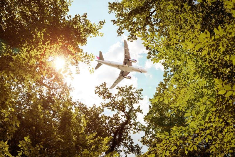 airplane over trees