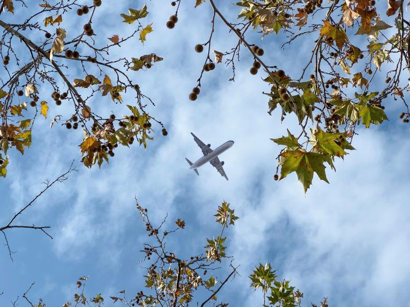 airplane over trees