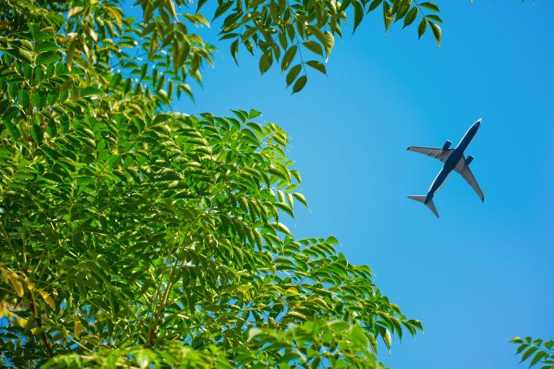 airplane over trees
