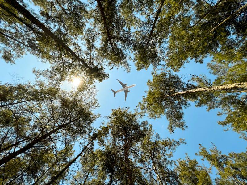 airplane over trees