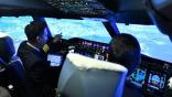 simulator