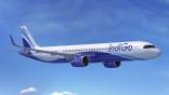 IndiGo