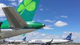 Lingus