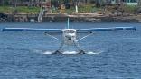 DHC-3