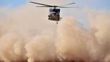 U.S. Army Black Hawk
