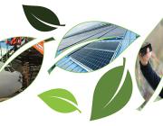 sustainability leaves